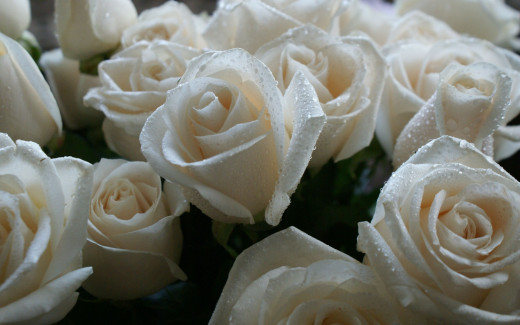 494959 (a): :2560x1600